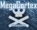 MegaCortex